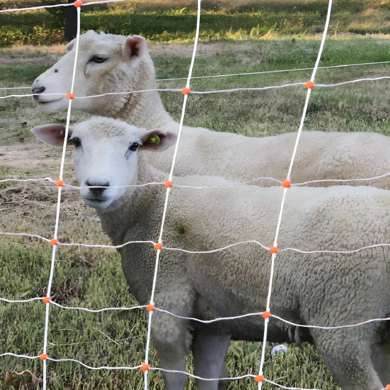 Turbo Electric Sheep Netting 164'