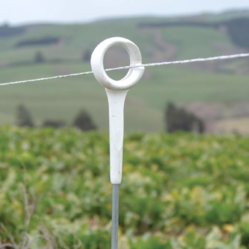 Heavy Duty Ring Top Post (50/carton)