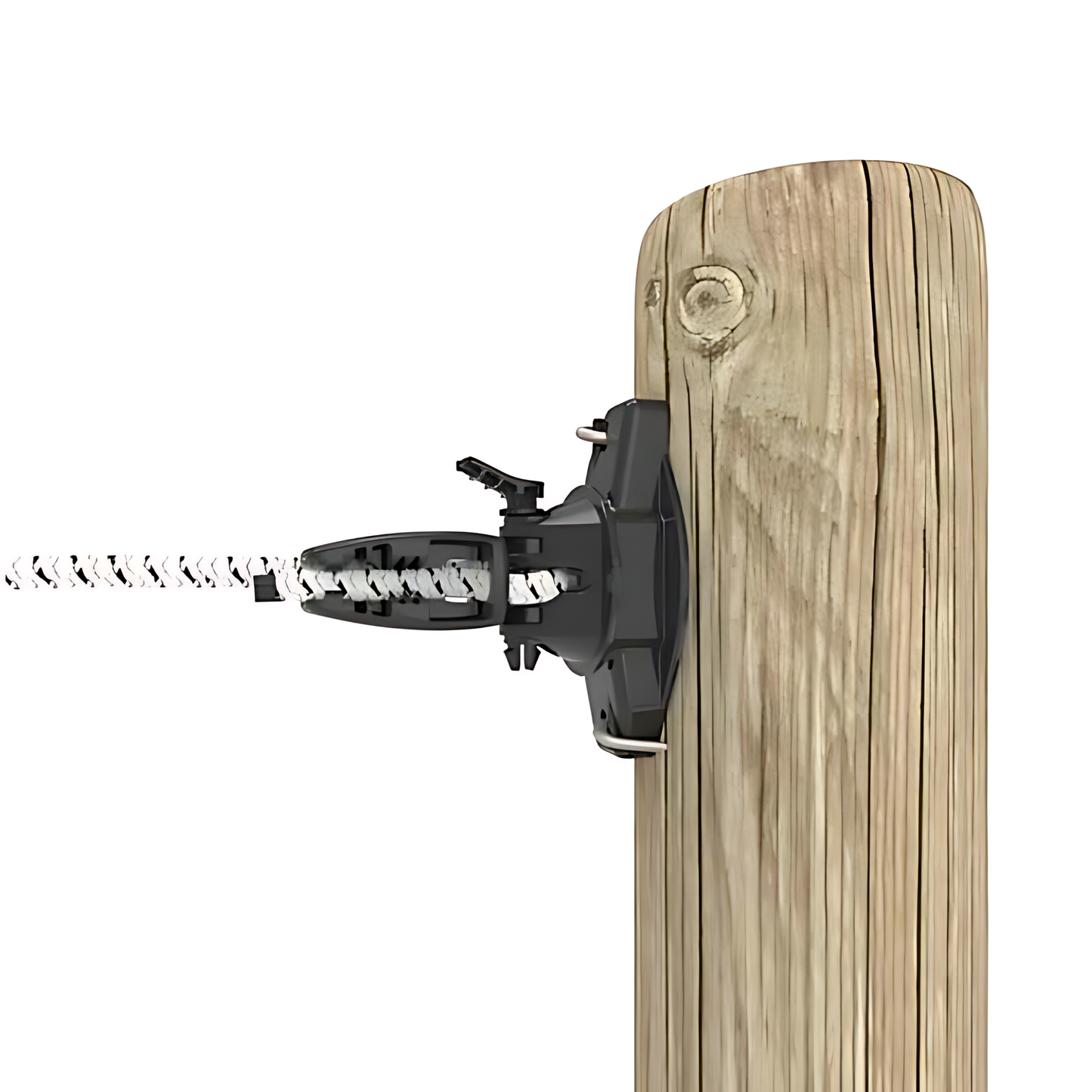 Bungy Cord Gripper (10/pack)